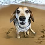 Patti Lynn Strother - @pattilynnstrother - Instagram