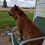 Lynn Stryker - @lynnstryker6 - Instagram