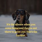 Lynn Sutherland - @lynnsuth501 - Instagram