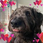 Lynn Sutherland - @lynnsutherland60 - Instagram