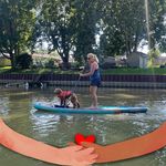 Lynn Sutherland - @suds_and_fuzz - Instagram