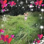 Lynn Sweeney - @lynnsweeney - Instagram
