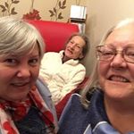 Lynn Sweeney - @foxlsweeney - Instagram