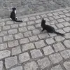 lynntetzner - @lynntetzner - TikTok