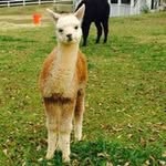 Terrill Esposito - @terrill_lynn_e - Instagram