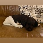 Amy Tessier - @susanamylynntessier - Instagram