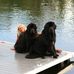 Lynn Denis Tessier - Facebook