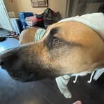 Rylynn Tessier - @rylynntessier - Instagram