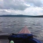 Lynn Kruysman Tharp - @kruysmantharp - Instagram