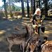 Lynn Thomason - Facebook