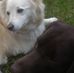 Lynn Thomason - Facebook