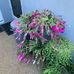 Lyn Thorne - Facebook
