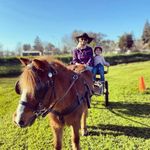 Lynn Tilley - @1goodword - Instagram