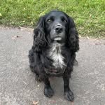 Lynn Tilley - @lynntilley67 - Instagram