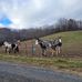 Lynn Tilley - Facebook