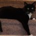 Lynne McCurley Titus - Facebook