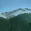 lynntowerybettini001 - @lynnbettini001 - TikTok