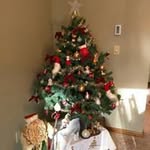 Lynn Townsend - @townsend_lynn - Instagram