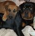 Lynn Townsend - Facebook