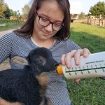 Lynne Birkeness-Trainor - @birkenesstrainor - Instagram