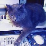 Lynn TREADWAY - @lilpinksock284 - Instagram