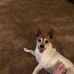 Lynn Trent - Facebook