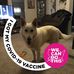 Lynn Trueblood - Facebook