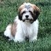 Lynn Truitt - Facebook