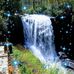 Lynn Ulmer - Facebook