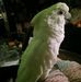 Lynn Unger - Facebook
