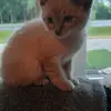 Koralynn Vanover - @koralynn.vanover0 - TikTok