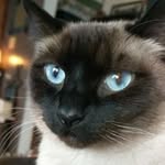 Lynn Luna Vanwinkle - @lunavanwinkle - Instagram