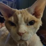 Lynn Varner - @wine_side_of_40 - Instagram