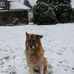 Lynne Vass - Facebook