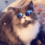 Zoey Lynn Velasquez - @lifewithzoeylynn - Instagram