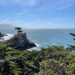 Lynn Vines - @lynn_vines - Instagram