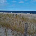 Lynn Vitale Brochon - @lynnvitalebrochon - Instagram