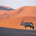 Lynn Volk - @volklynn - Instagram