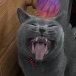 Lynne Wainwright - @lynnemwainwright - Instagram