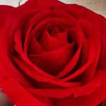 lynn wakefield - @lynnmwakefield - Instagram