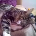 lynn walker - @lynnylou13 - Instagram