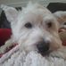 Lynn Wallinger - Facebook