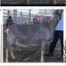 Lynn Watterson White - Facebook