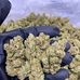 Lynn weed plug - Facebook