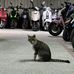 Lynn Wei - Facebook
