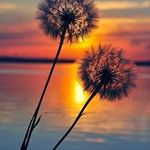 Lynn wenger - @lynnwenger2002 - Instagram