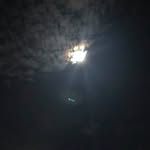Lynn Westhoff - @lynnwesthoff - Instagram