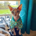 Stephanie Lynn Westphal-Bigelow - @sbigelow72 - Instagram