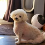 Nancy Lynn Wheatley - @nancyilovehorses2020 - Instagram
