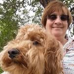 Lynn Whipp - @lynnwhipp - Instagram
